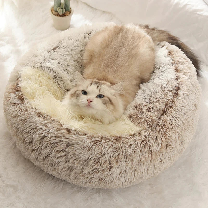 Coussin pour chat cosy